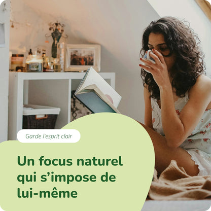 Crinière de Lion Gélules Bio