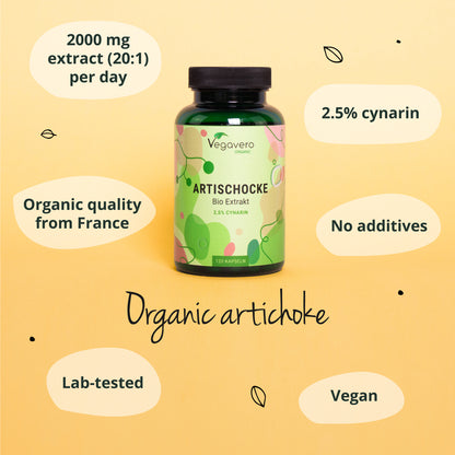 Artichaut Extrait Gélules Bio