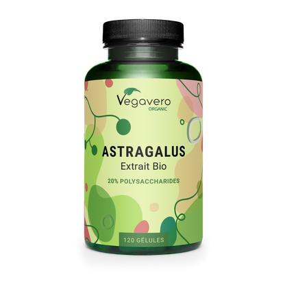 Astragalus Extrait Gélules Bio