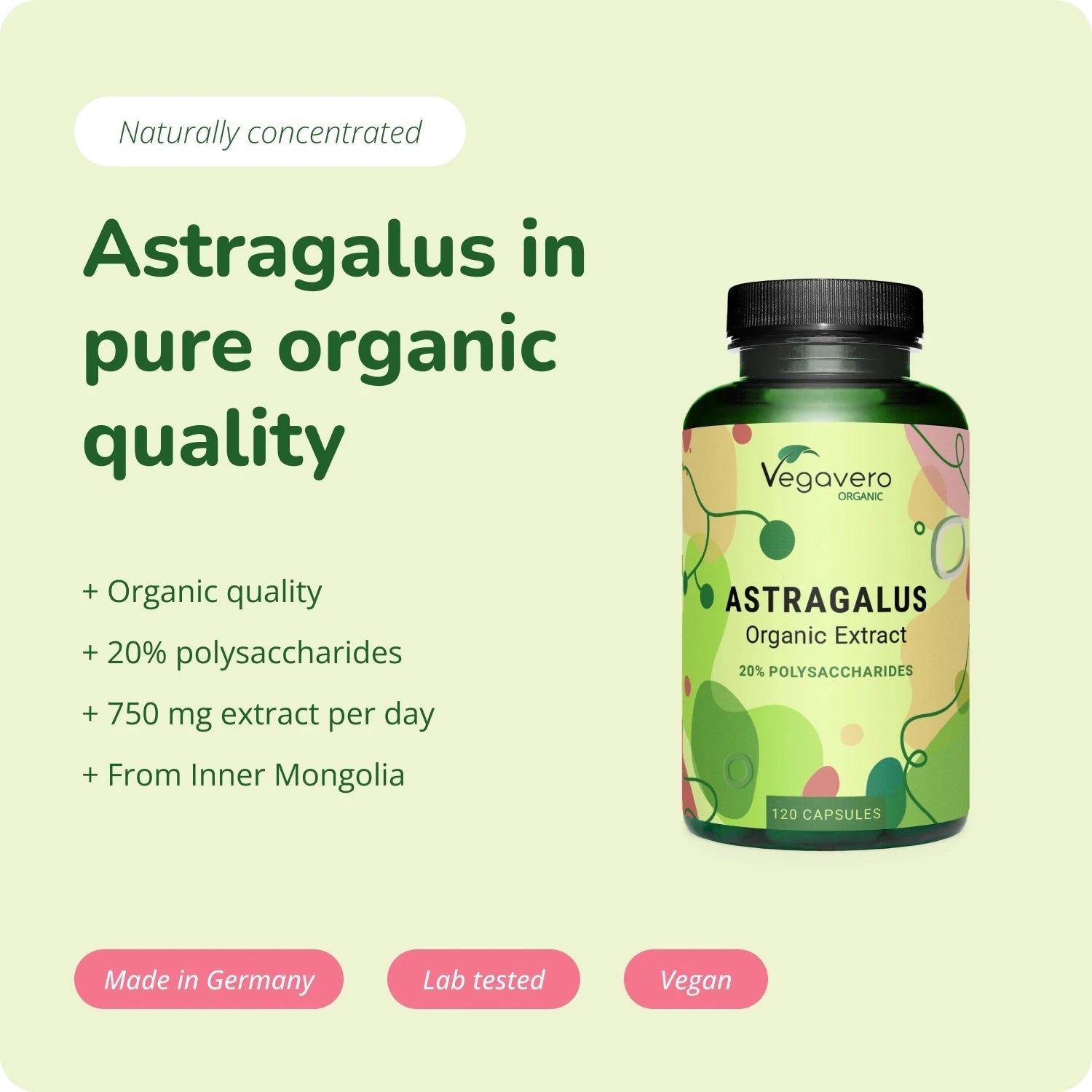 Astragalus Extrait Gélules Bio