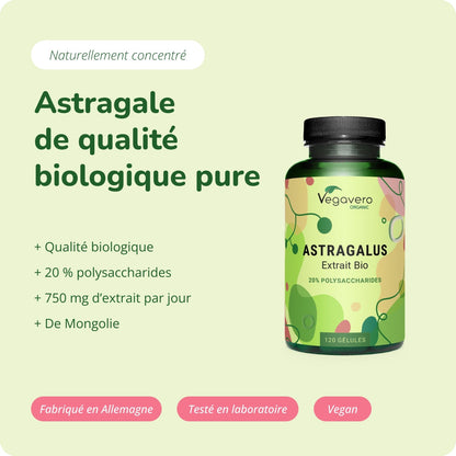 Astragalus Extrait Gélules Bio