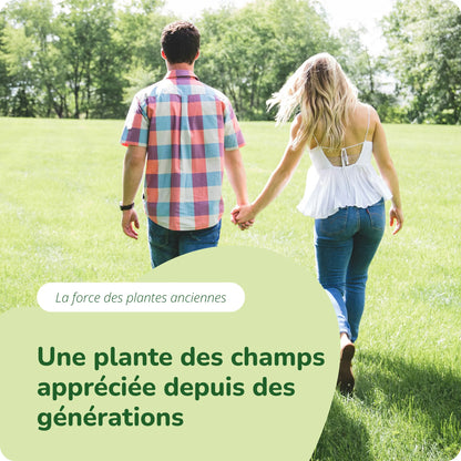 Prêle Extrait Gélules Bio