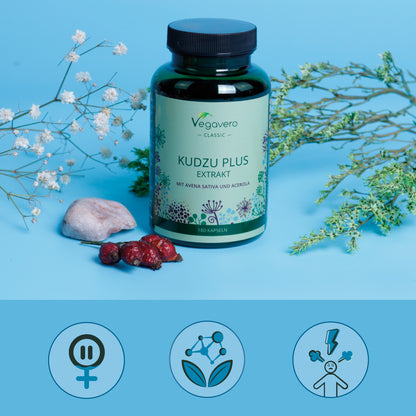 Kudzu Plus Gélules