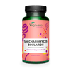 Saccharomyces Boulardii Gélules