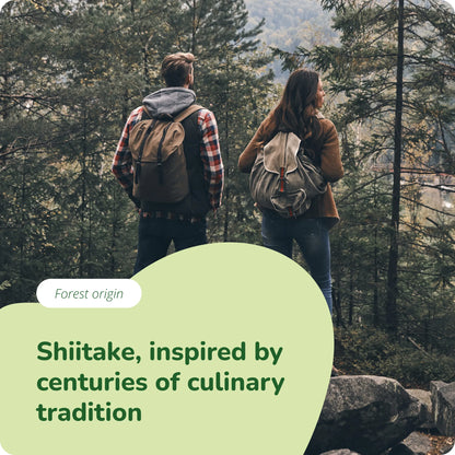 Shiitake Extrait Gélules