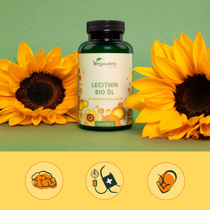 Lécithine Huile Gélules Bio