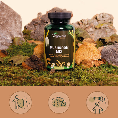 Mushroom Mix Complex Gélules