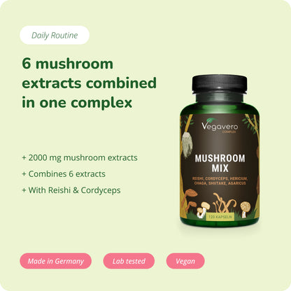 Mushroom Mix Complex Gélules