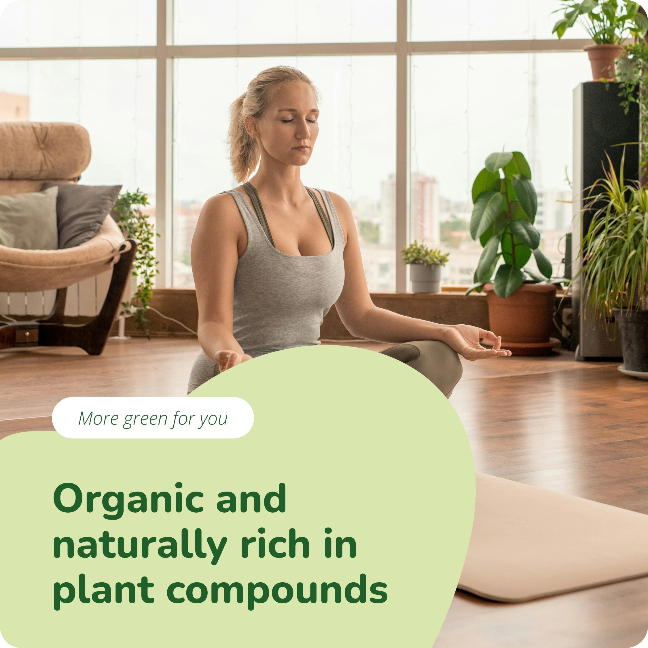 Moringa Oleifera Comprimés Bio