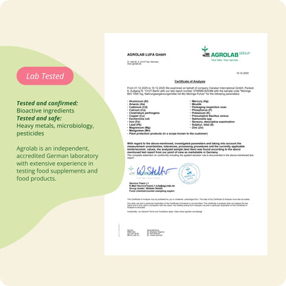 Moringa Oleifera Comprimés Bio
