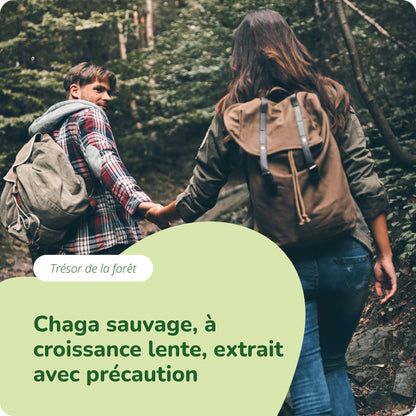Chaga Extrait Gélules Bio