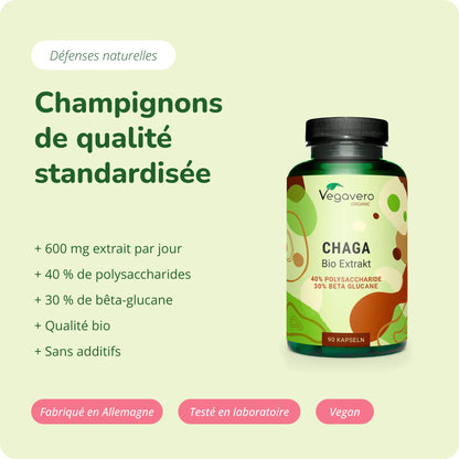 Chaga Extrait Gélules Bio