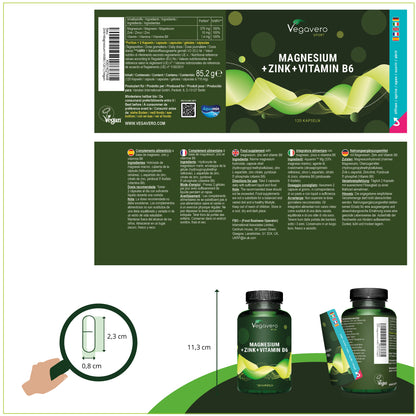 ZMA Gélules : Zinc + Magnésium + Vitamine B6