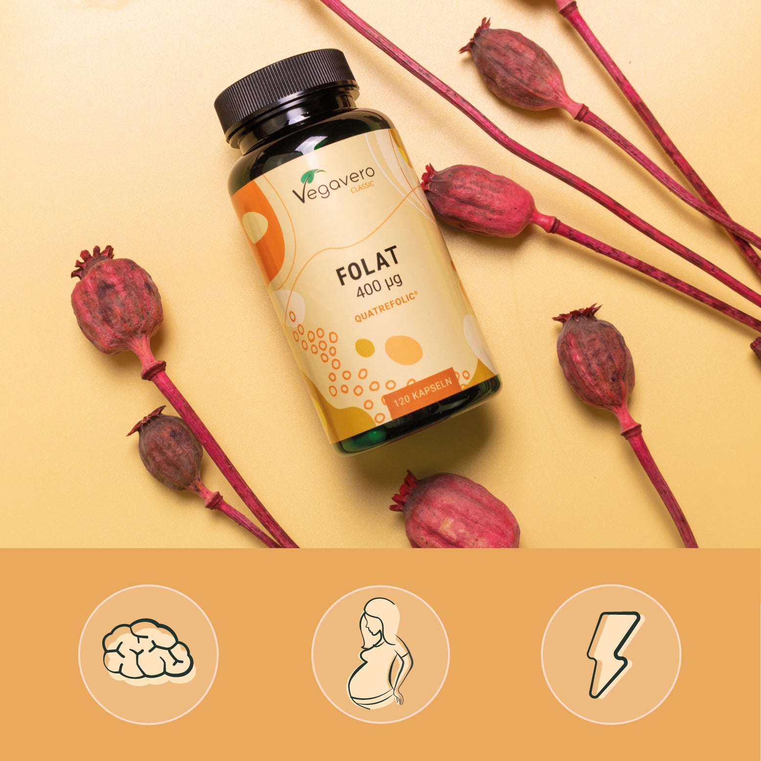 Folate Gélules