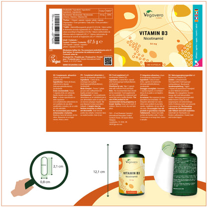 Vitamine B3 Gélules