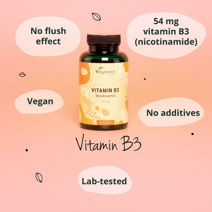 Vitamine B3 Gélules
