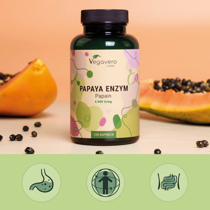Papaye Enzymes Gélules