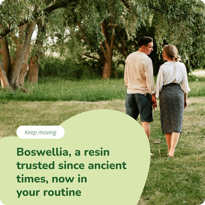 Boswellia Extrait Gélules