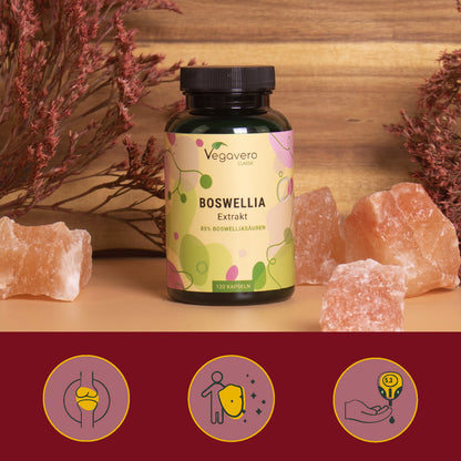 Boswellia Extrait Gélules