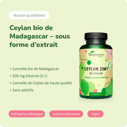 Cannelle de Ceylan Extrait Gélules Bio