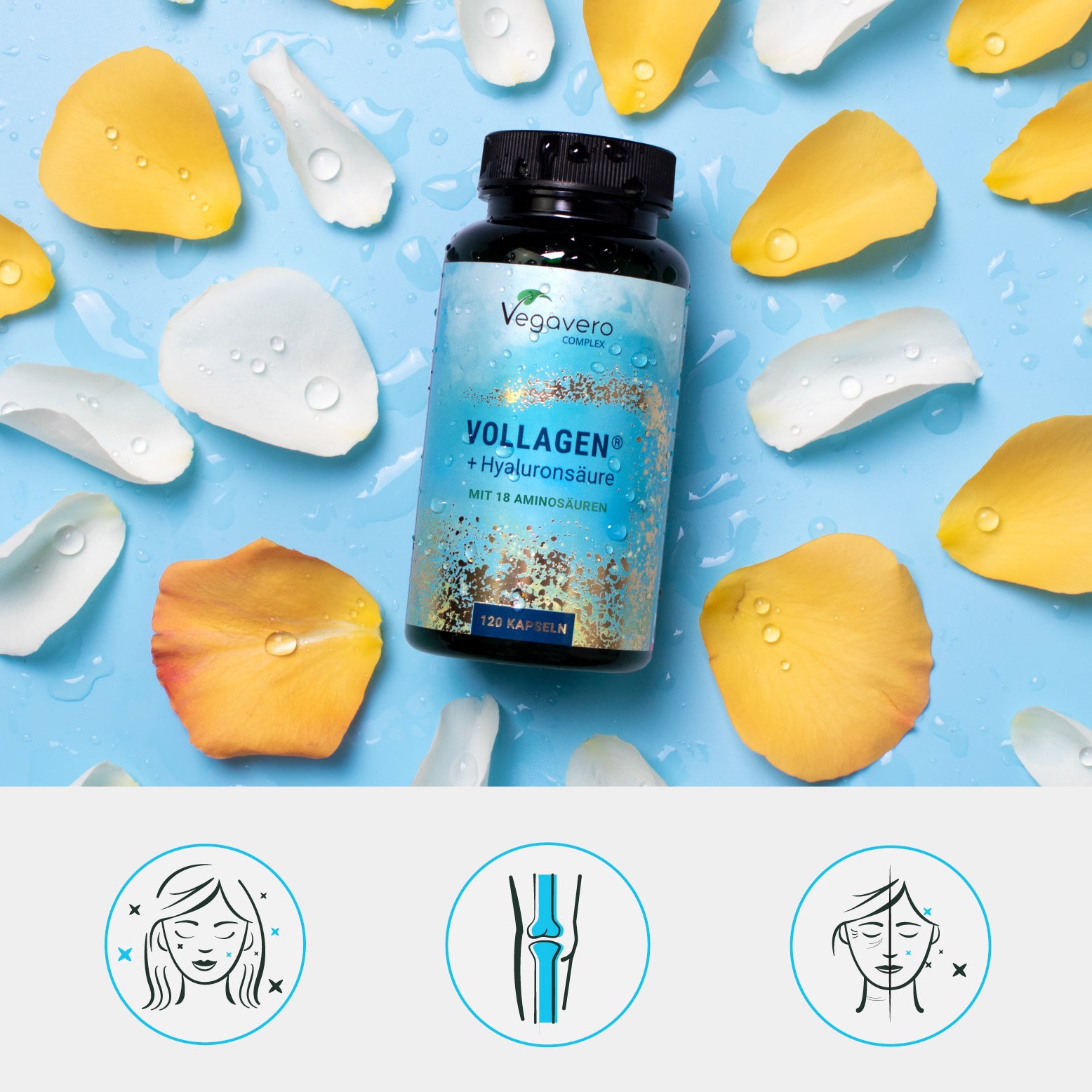 Vollagen + Acide Hyaluronique Complex Gélules