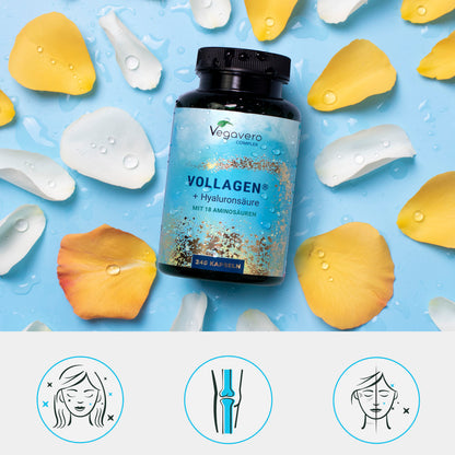 Vollagen + Acide Hyaluronique Complex Gélules