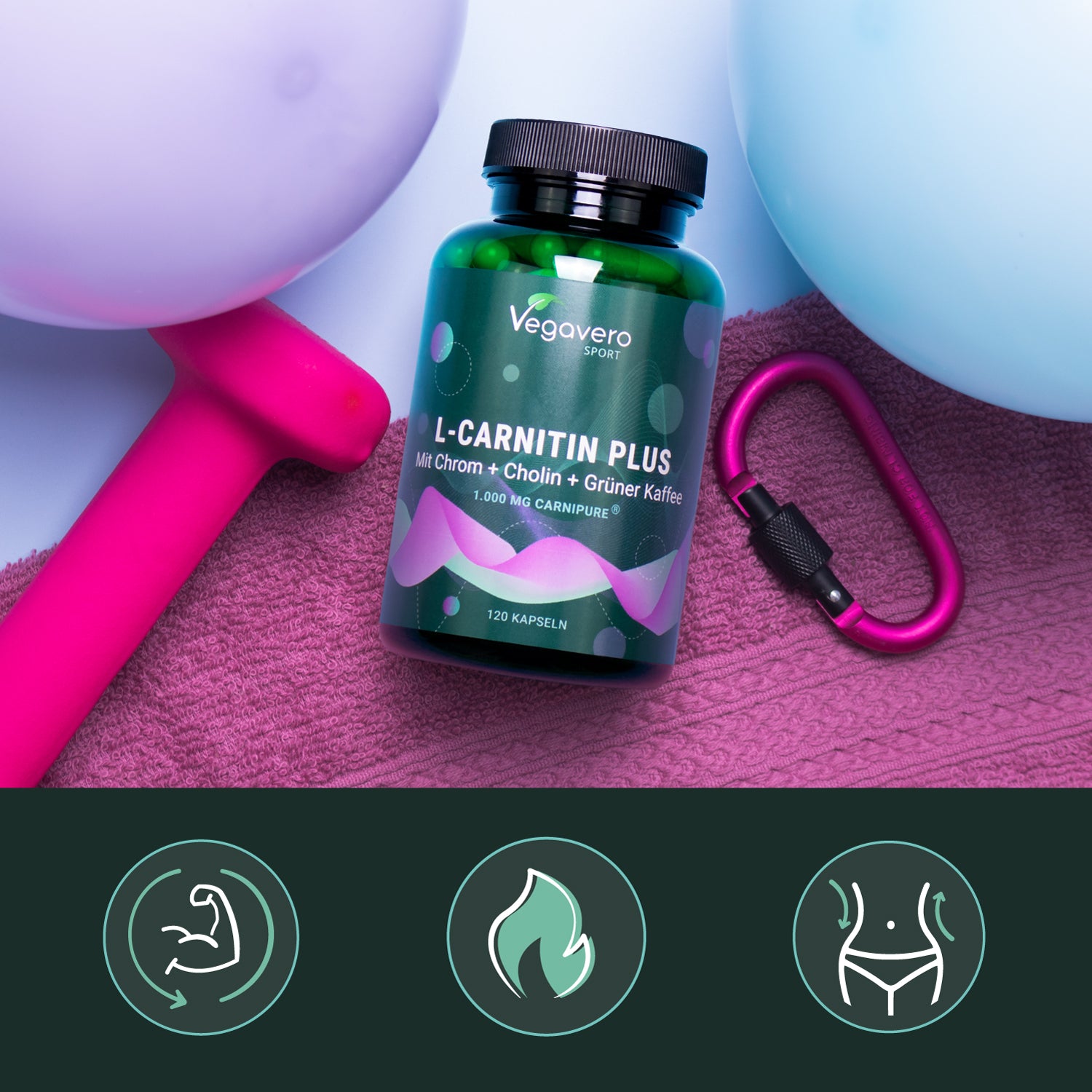L-Carnitine Plus Gélules