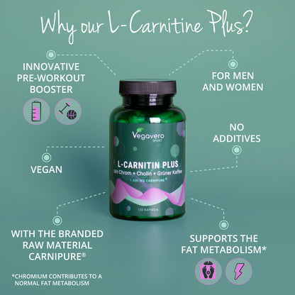 L-Carnitine Plus Gélules