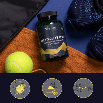 Electrolyte Plus Gélules