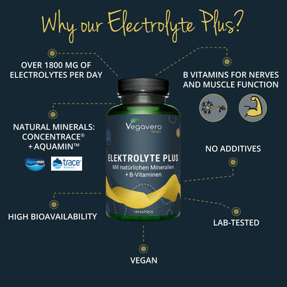 Electrolyte Plus Gélules