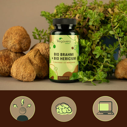Brahmi + Hericium Gélules Bio