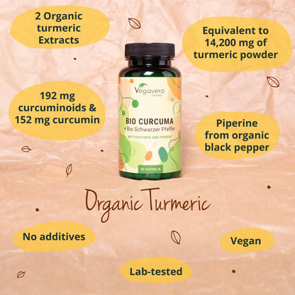 Curcuma Gélules Bio