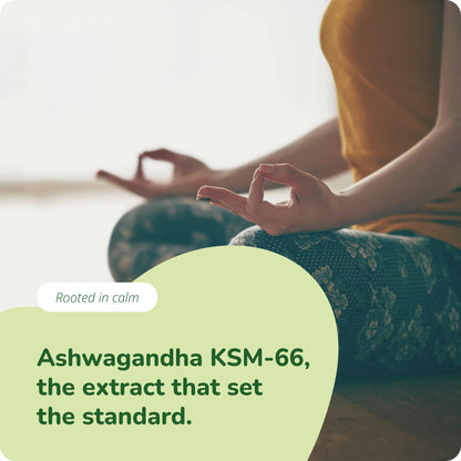 Ashwagandha KSM-66 Extrait Gélules Bio