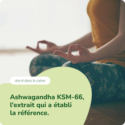 Ashwagandha KSM-66 Extrait Gélules Bio