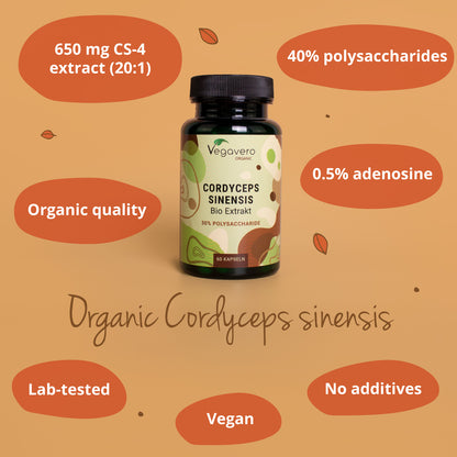 Cordyceps Sinensis Extrait Gélules Bio