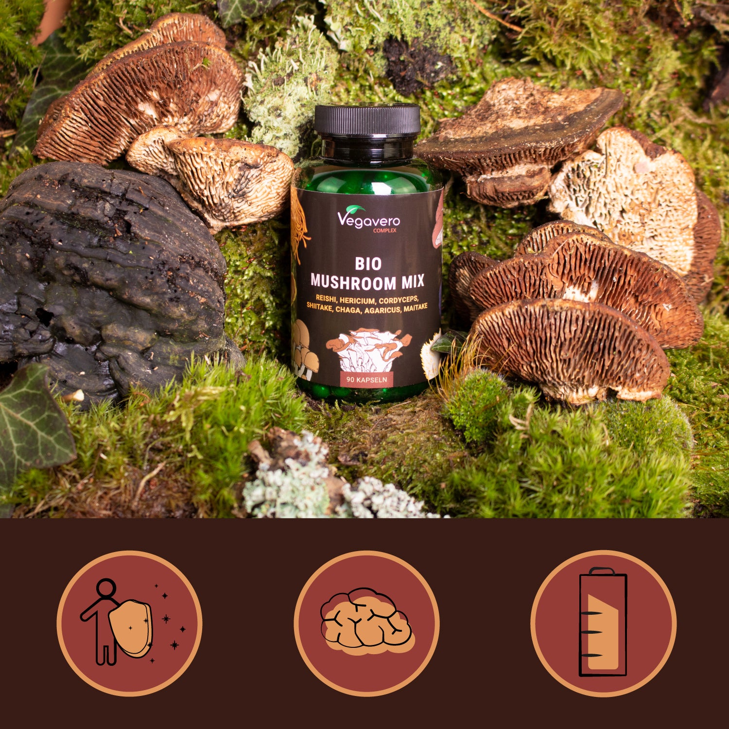 Mushroom Complex Gélules Bio