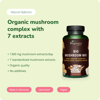 Mushroom Complex Gélules Bio
