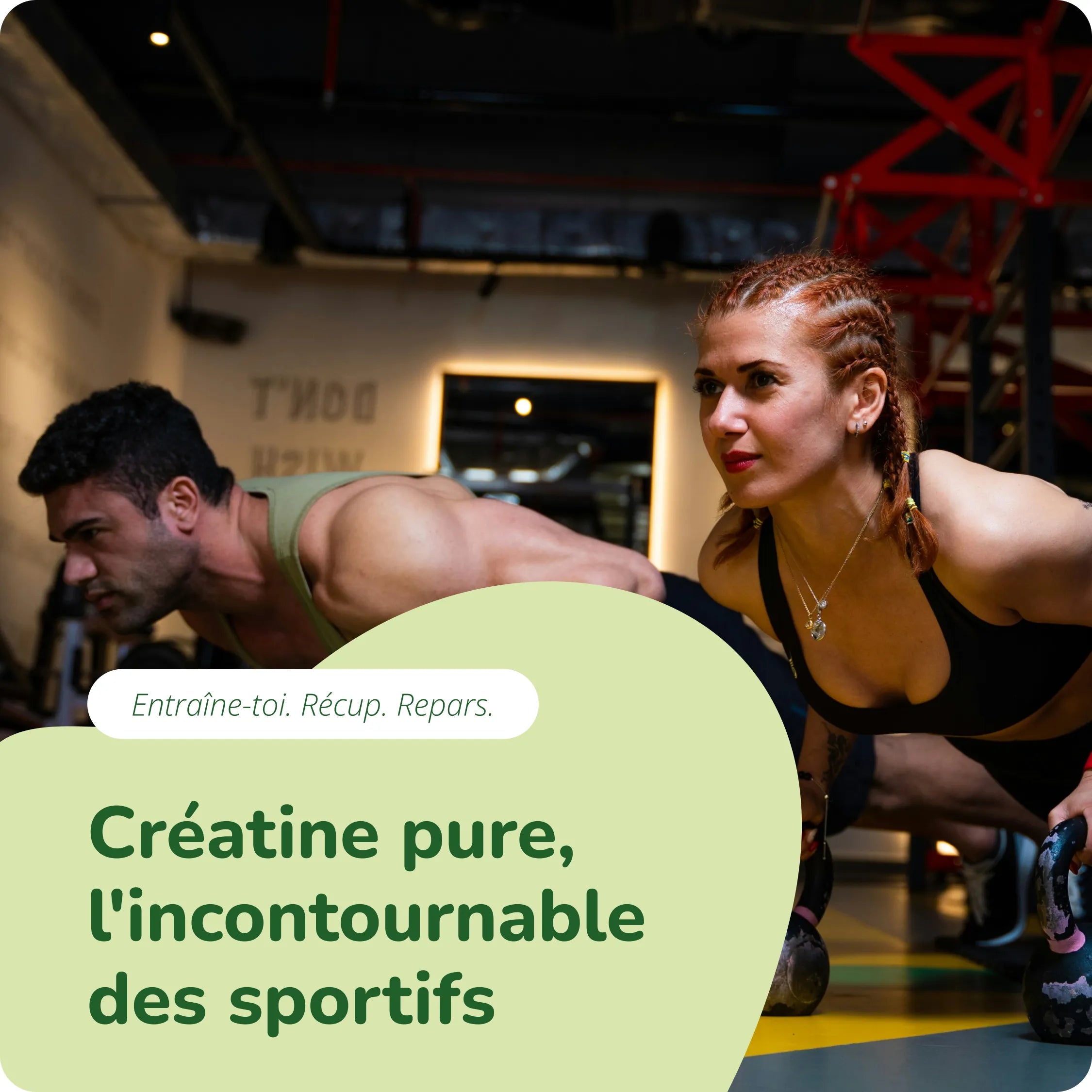 Créatine Monohydrate en Poudre