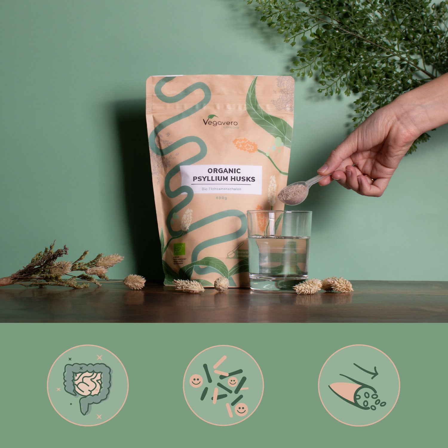 Cosse de Psyllium Bio
