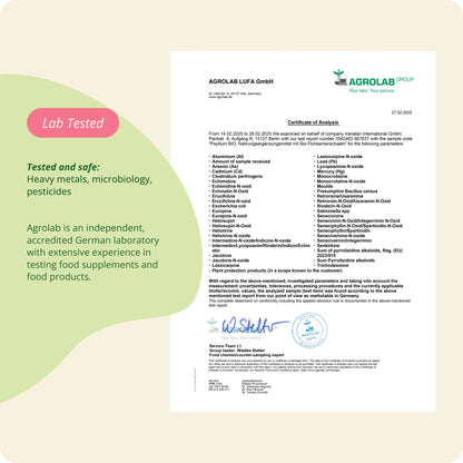 Cosse de Psyllium Bio