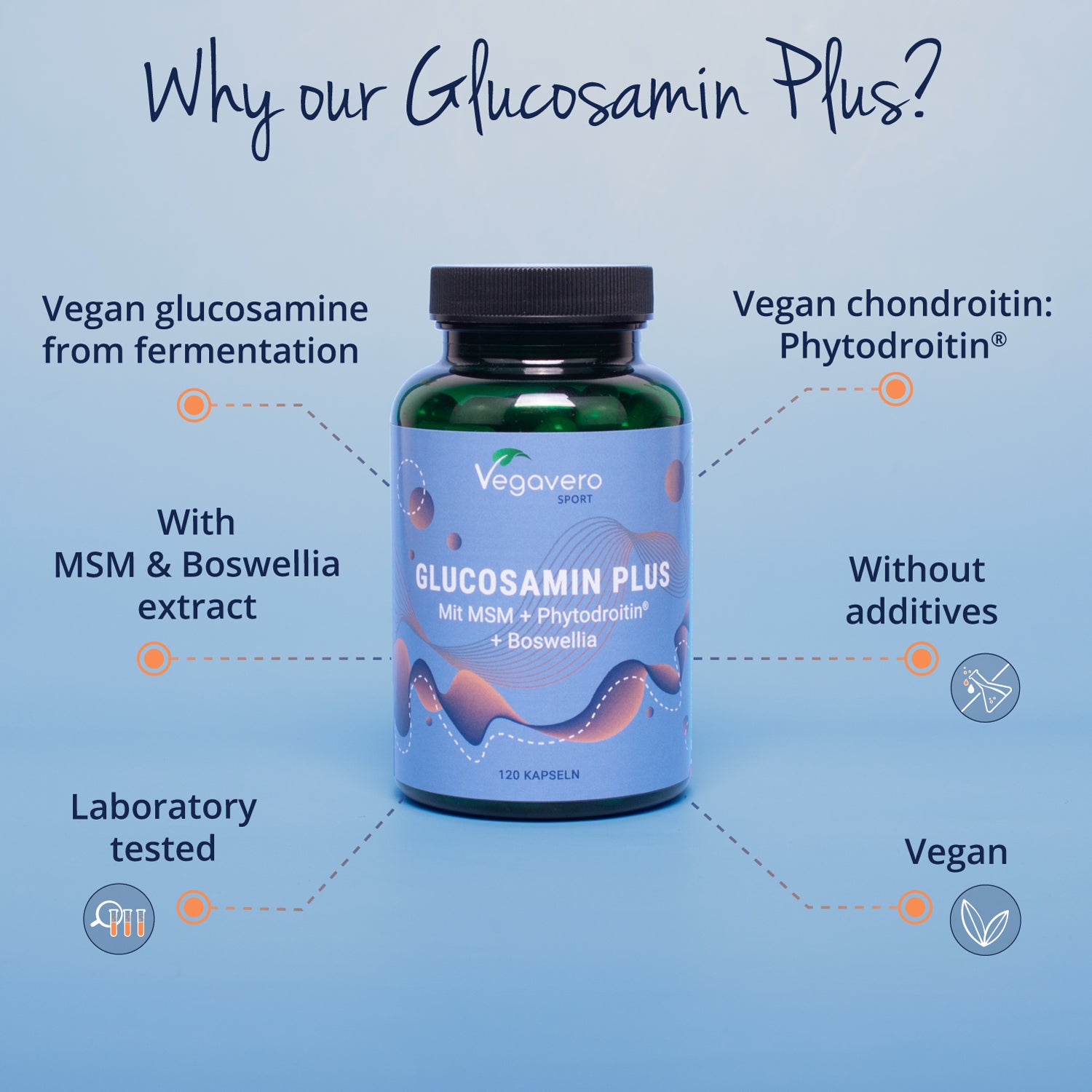 Glucosamine Plus Gélules
