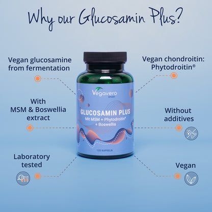 Glucosamine Plus Gélules