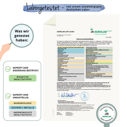 Glucosamine Plus Gélules
