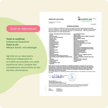 Glucosamine Plus Gélules