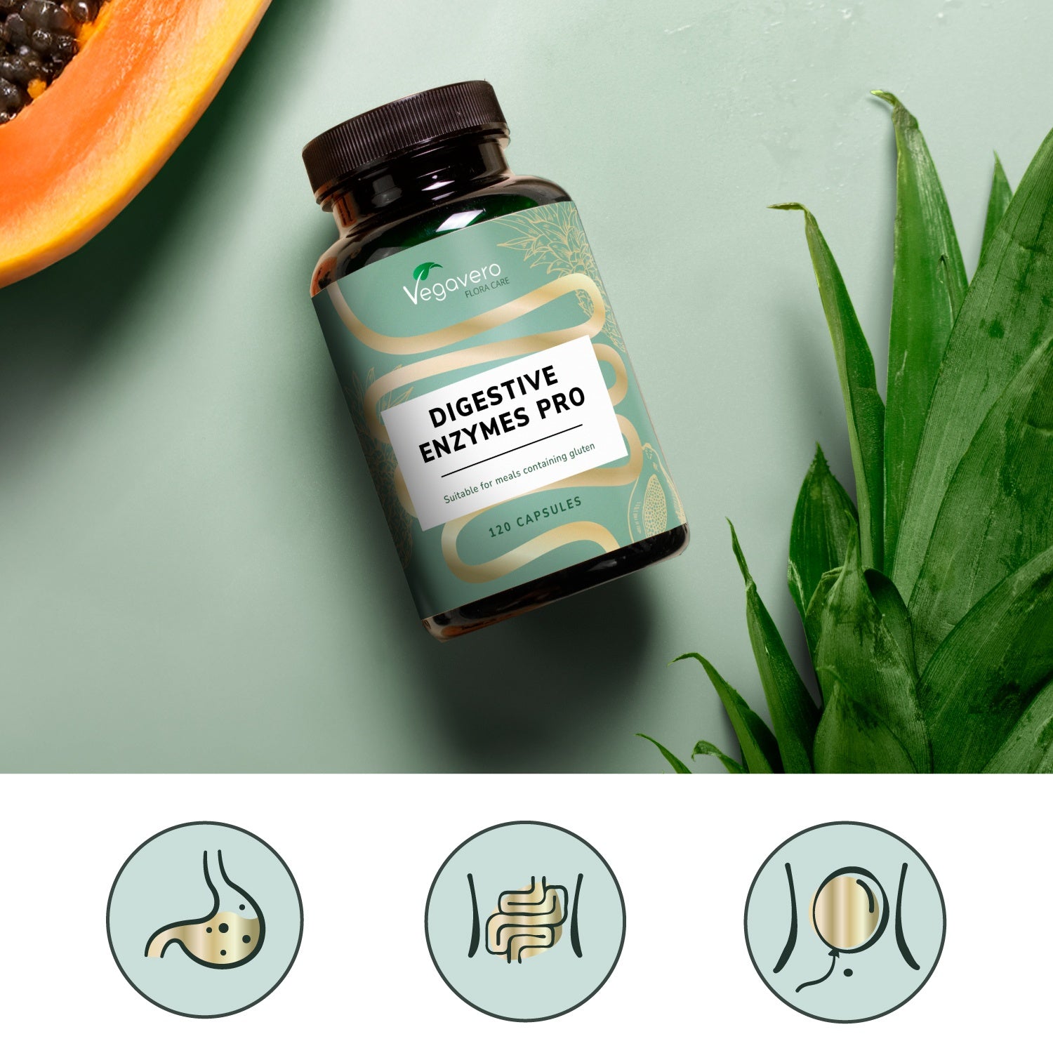 Enzymes Digestives Pro Gélules