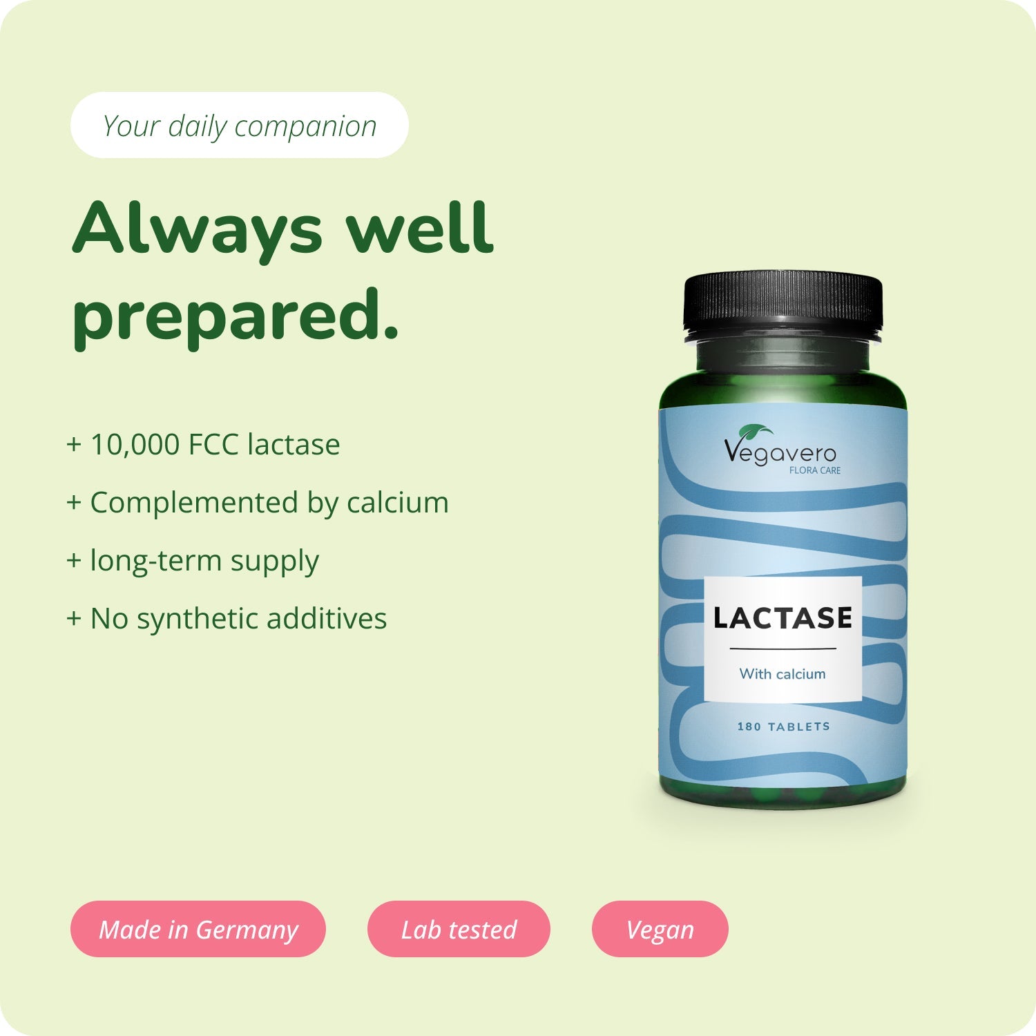 Lactase Comprimés