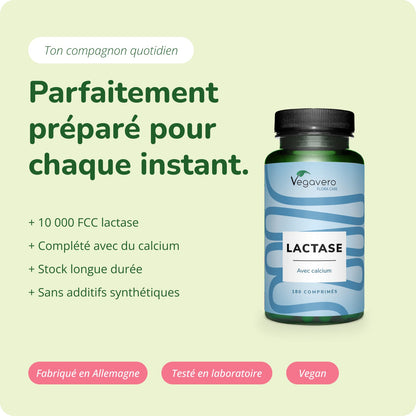 Lactase Comprimés