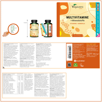 Multivitamine Plus Gélules