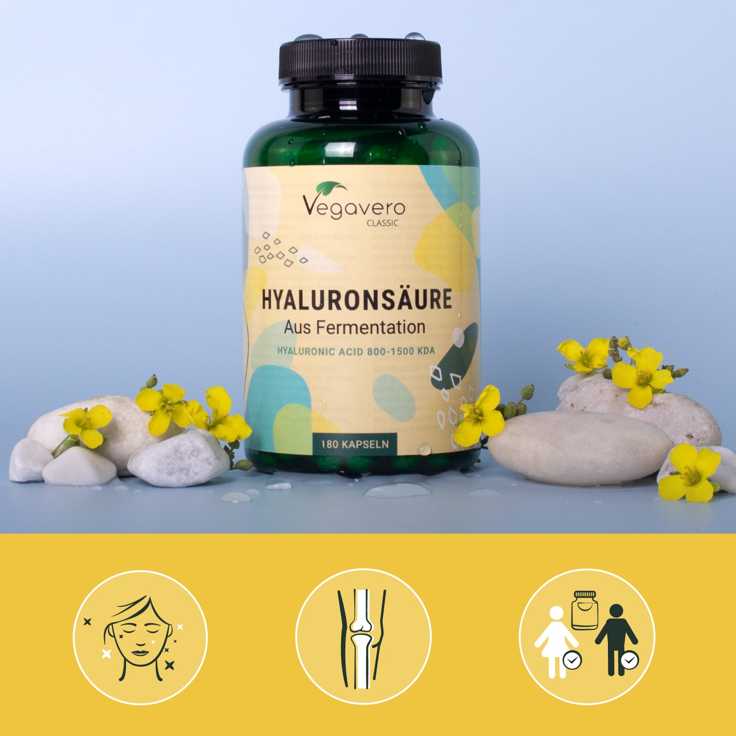 Acide Hyaluronique Gélules