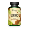 Cordyceps Sinensis Extrait Gélules